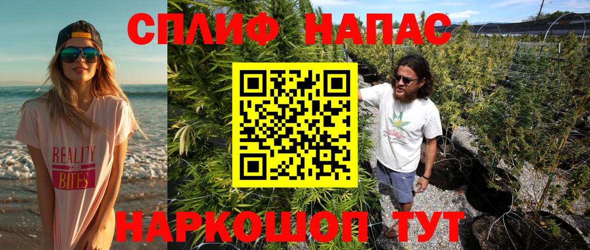 Каннабис OG Kush Верхняя Пышма